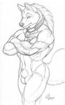  canine collar male nude richard_foley sheath sketch solo wolf 