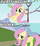  equine female fluttershy_(mlp) friendship_is_magic horse macro my_little_pony reaction_image wings 