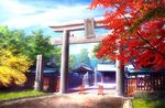  scenic tagme torii tree 
