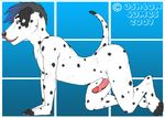 all_fours ashton_james_wagner canine dalmatian dog erection male nude penis sheath solo 
