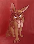  chest_tuft female jonas lagomorph nude piercing rabbit rape_face solo 