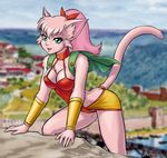  2000 all_fours cat chest_tuft day dr_comet feline female green_eyes hair hair_bow hair_ribbon meeya outside pink pink_hair ponytail short_hair skimpy solo tail 