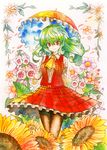  ascot flower green_hair kazami_yuuka kidanieru long_hair pantyhose parasol plaid plaid_skirt plaid_vest red_eyes skirt skirt_set solo sunflower touhou traditional_media umbrella vest watercolor_(medium) 