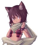  brown_eyes brown_hair canine dog dog_ears doggirl female hair mammal plain_background scarf solo unknown_artist white_background 