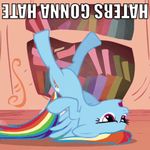  blue_fur cutie_mark english_text equine female feral friendship_is_magic fur gif hair haters_gonna_hate mammal multi-colored_hair my_little_pony pegasus rainbow_dash_(mlp) rainbow_hair solo text unknown_artist upside_down wings 