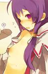  aisha_(elsword) bad_id bad_pixiv_id blush elemental_master_(elsword) elsword flat_chest heart long_hair nekotewi nipples open_clothes open_mouth open_shirt penis purple_eyes purple_hair shirt solo_focus spoken_heart 