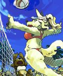  bikini canine female fox inaba oekaki pov skimpy tropical_scene volleyball 