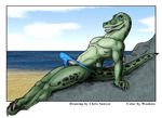  beach bulge chris_sawyer erection looking_at_viewer male penis reptile scalie seaside solo tail thong wookiee 