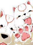  animal chibiterasu dog foreshortening mother_and_son nabe_(ingenmame) no_humans ookami_(game) ookamiden paws simple_background teeth tongue 