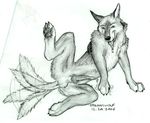  balls canine cum drool knot male nude on_side penis presenting raised_leg saliva sketch solo spread_legs spreading tailwag trannywolf 