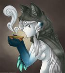  blowing bowl cloak cooling cute female giselle horns morningstar nude soup steam wolf&#039;s_clothing wolf_cloak 