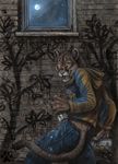  background blotch cougar feline female graffiti hoodie male moon night solo spray_paint urban wall 