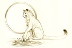  amber_hill atom cougar feline feral pysics science sketch solo splash water 