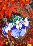  detached_sleeves frog green_hair hair_ornament highres japanese_clothes kochiya_sanae leaf snake solo takana_shinno touhou yellow_eyes 