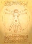  art cal. futanari highres leonardo_da_vinci vitruvian_man 