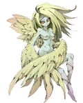  avian breasts female fierce harpy intimidating monstergirl nipples nude pone solo wings 
