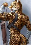  feline karabiner leopard male mammal penis sheath solo tail 