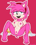 amy_rose doncorneo sonic_team tagme 