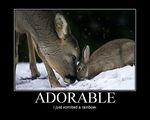  adorable cervine cute deer english english_text feral forest fucking_adorable hooves lagomorph mammal motivational_poster photo rabbit real snow text tree unknown_artist wood 