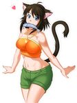  &hearts; animal_ears blue_eyes brown_hair cat_ears catgirl clothing female fish hair long_brown_hair long_hair marine plain_background shorts solo tail unknown_artist white_background 