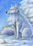  ambiguous_gender arctic_fox canine feral fox mammal non-anthro outside silentravyn snow solo winter 