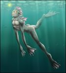  2008 bubbles deep_sea diving fins football_fish hi_res hindpaw light male marine ocean sahagin slit_pupils slit_shaped_pupils solo swimming tasty_ass underwater water webbed_feet webbing yellow_eyes zen 