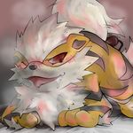  arcanine pokemon tagme 