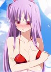  animal_ears bikini blue_sky blush breast_hold breasts bunny_ears close-up collarbone day highres looking_away medium_breasts nigo_(aozoragarou) open_mouth pink_hair red_bikini red_eyes reisen_udongein_inaba sky solo swimsuit touhou upper_body 