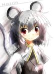  animal_ears blush capelet dress grey_hair jewelry mouse_ears mouse_tail nazrin pendant red_eyes short_hair smile solo sunlight tail touhou upper_body yurume_atsushi 