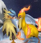  articuno moltres pokemon tagme zapdos 