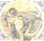  2009 breasts cetacean dolphin female kaputotter marine nude on_back pussy solo spread_pussy spreading water wet 
