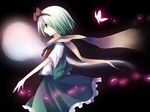  bad_id bad_pixiv_id bug butterfly green_eyes highres insect konpaku_youmu kusada_souta silver_hair solo touhou 