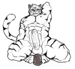  anal anal_penetration balls claws cursedmarked dildo dildo_sitting erection eyes_closed fangs feline male muscles nude penetration penis sex_toy sketch solo spread_legs spreading tail tiger 