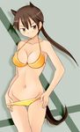  angela_salas_larrazabal animal_ears bikini breasts brown_eyes brown_hair cleavage curvy dog_ears horse_ears horse_girl horse_tail large_breasts long_hair navel ponytail solo swimsuit swimsuit_pull tail tanaka_rikimaru thigh_gap world_witches_series 