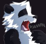  black_nose english_text eyes_closed male mammal open_mouth panda solo super-tuler text yawn yawning 