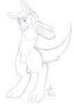  balls edel fursona kangaroo male marsupial sheath sketch solo 