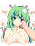  bad_id bad_pixiv_id breasts flower frog green_eyes green_hair hair_ornament hand_on_another's_cheek hand_on_another's_face hands kochiya_sanae large_breasts long_hair nude pov rin_(ateria) solo_focus touhou upper_body 