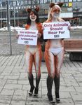  blonde_hair bodypaint english_text feline finland finnish finnish_language hair human mammal outside peta photo protest real sign text tiger topless underwear 