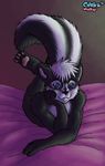  bed chokodonkey hindpaw lying male mammal nude on_front paws skunk solo 