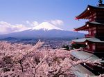  cherry_blossoms landscape scenic tagme 