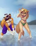  alty bikini black_hair blonde_hair brown_eyes canine clothed clothing female fox green_eyes hair male mammal skimpy smile swimsuit water 