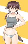  animal_ears bare_shoulders blush brown_eyes brown_hair gertrud_barkhorn navel panties solo strike_witches tail tanaka_rikimaru tank_top twintails underwear underwear_only world_witches_series 
