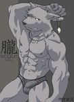  1999 canine fishnet japanese male muscles necklace nipples penis qul solo underwear unknown_artist wolf 