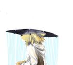 canine dog mr_dog rain_shower solo umbrella 