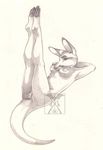  female kangaroo legs_up marsupial mehndix nude pencils solo 