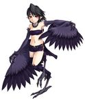  avian blush claws collar female harpy kenkou_kurosu midriff pointy_ears side-tie_boy_shorts skimpy solo wings 