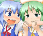  blue_eyes blue_hair bow cannibalism cirno daiyousei green_eyes green_hair multiple_girls subata touhou 