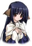  animal_ears blue_hair female hair hentai long_blue_hair long_hair solo unknown_artist utawarerumono yuzuha 