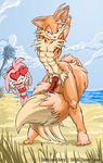  &hearts; &hearts;_eyes amy_rose beach being_watched big_penis blue_eyes canine female fox kandlin kitsune knot looking_at_viewer male miles_prower multiple_tails muscles orange penis pose precum red_penis seaside solo sonic_(series) standing stretch tail watermark 