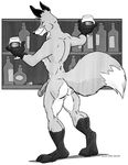  back butt canine cooner fox male muscles solo 